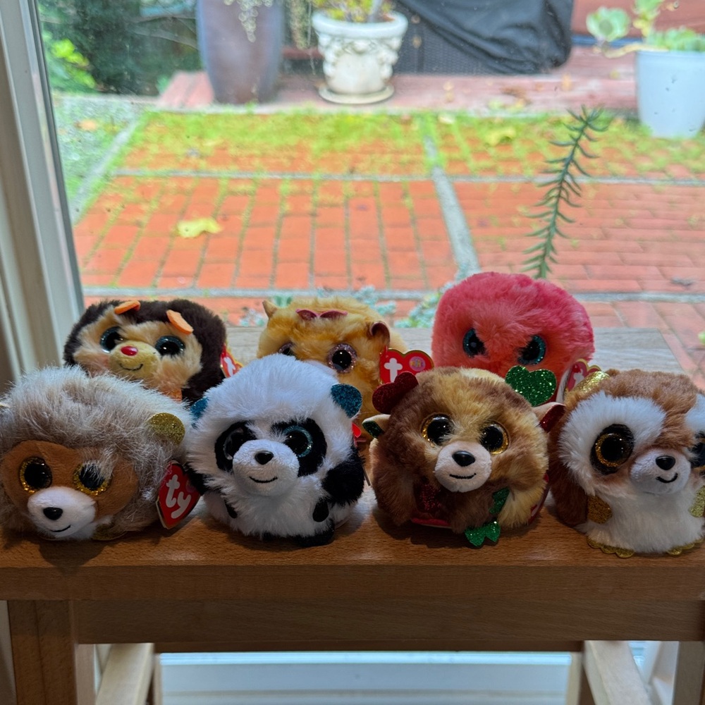 Set of TY Puffies - 7 total